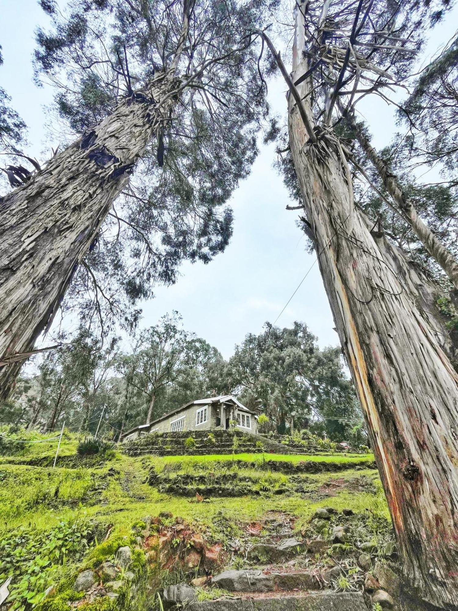 Springdale Villa Kodaikanal Exterior foto