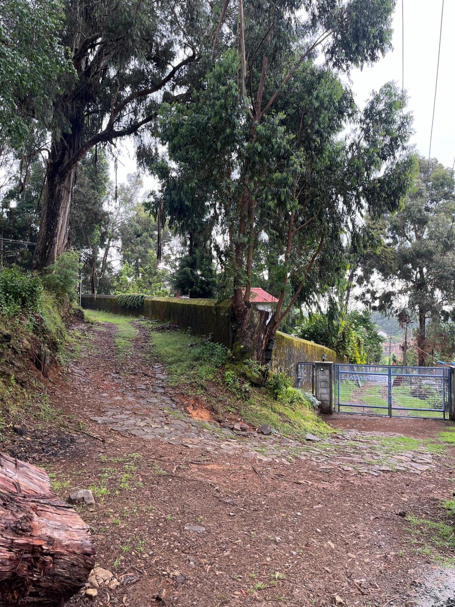 Springdale Villa Kodaikanal Exterior foto